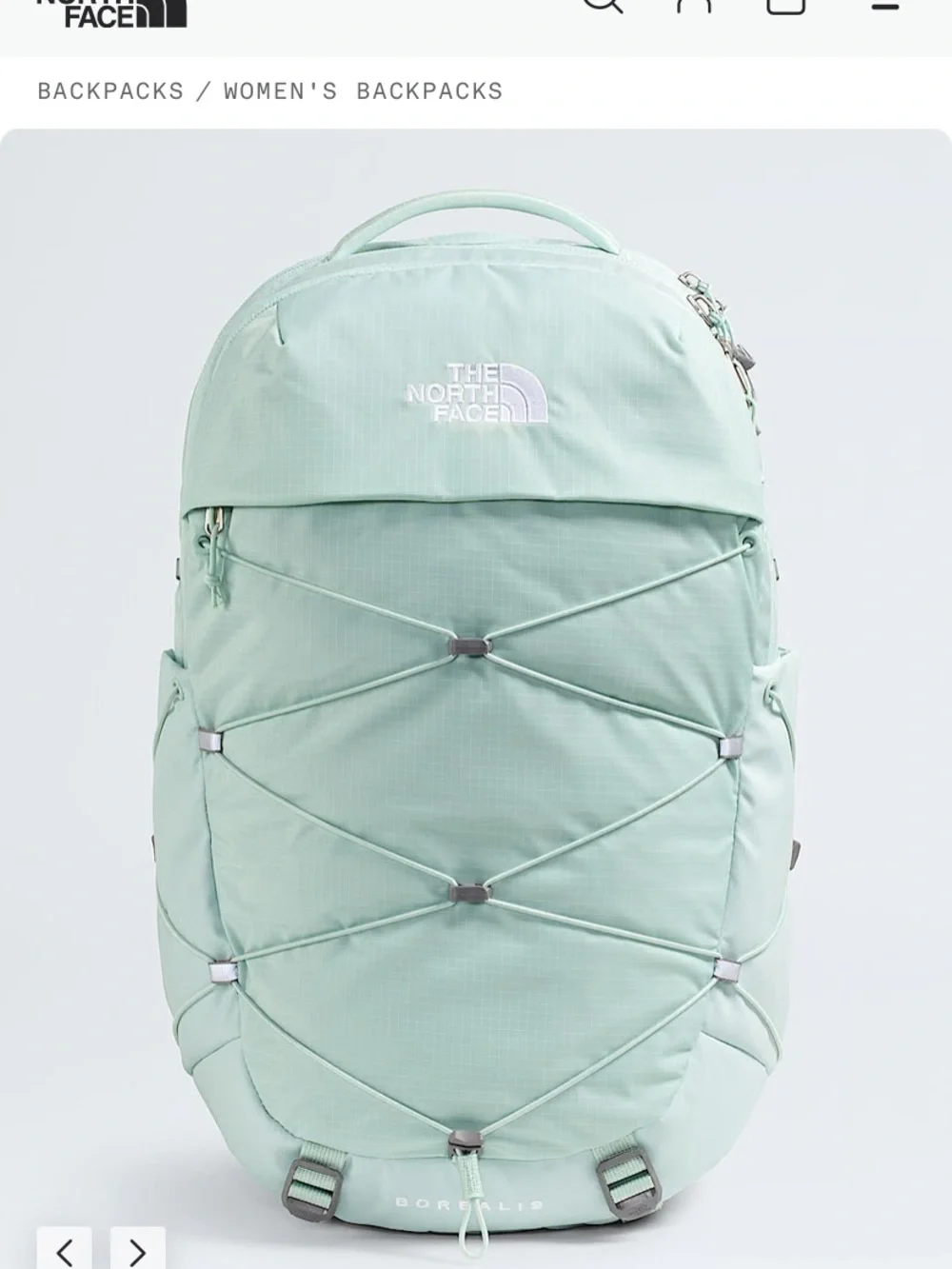 The North Face Opal Frost Borealis Backpack